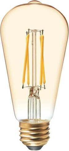 GE Vintage Style LED Light Bulbs, 60 Watt, Clear Finish, ST19 Edison Style Bulbs (2 Pack) in Saudi Arabia