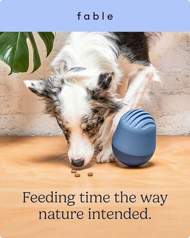 لعبة توزيع حلوى الكلاب FABLE The Puffin Game - ألعاب مكافأة الكلاب - ألعاب مكافأة الكلاب للترفيه التفاعلي والتحفيز الذهني - لعبة مكافأة الكلاب التي تحاكي فريسة الصيد - لعبة موزع طعام الكلاب لوجبة كاملة - أزرق داكن in Kuwait