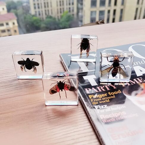 Real Insect Specimens Sets, Hornet, Green Chafer, Spotted Lanternfly, Golden Cicada in Resin Paperweight Crafts, Animal Taxidermy Collection for Science Education & Desk Ornament (Sets 04) in Saudi Arabia