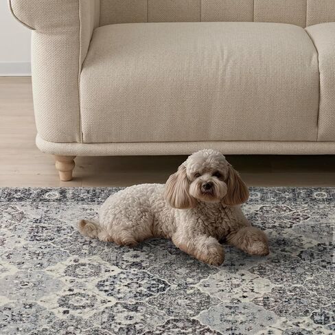 EVERGRACE Moroccan Area Rug 3x5, Soft Fuzzy Boho Faux Wool Rugs Washable Anti Slip Small Carpet Rug for Entryway Bedroom Living Room Hallway Kitchen Dining Room and Laundry Room, Cream in Kuwait