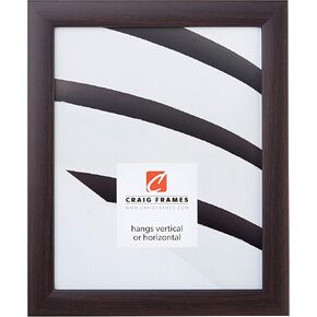 Craig Frames Contemporary Picture Frame, 16 x 20 Inch, Brazilian Walnut Brown