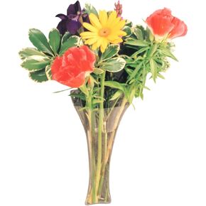 Gadjit VINYL Window Vase Trumpet Style Flexible Vinyl Vase - Attaches to Windows, Mirrors, or other Non-Porous Surfaces with Suction Cups Vase Holds a Bouquet of Flowers, Water, Greenery