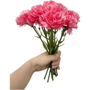 11 Inch Bouquets 10 Stem Carnations,Outdoor UV Resistant No Fade Artificial Flower,Mini Carnation Silk Petals Fake Flowers Forever Plants for Photo Props Home Party and Wedding Decor (Red-10)