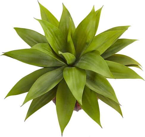 Nearly Natural 6916 Agave Succulent in Rectangular Planter Green 13 x 5.5 x 7 in Saudi Arabia