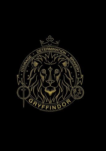 Harry Potter Kids Deathly Hallows Gryffindor Line Art Symbol Youth Pullover Hoodie in Saudi Arabia
