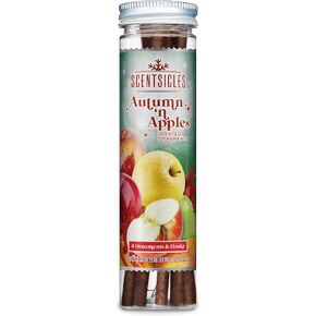 Scentsicles Autumn n Apples Scented Ornament Sticks - 1 Pack (6 Sticks Total)