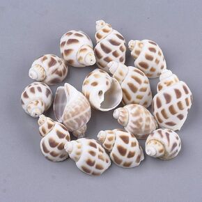 Craftdady 20Pcs Spiral Sea Shells Natural Beach Seashells 55-75x14-18mm, No Hole for Fish Tank Vase Fillers Home Decorations (Teal)