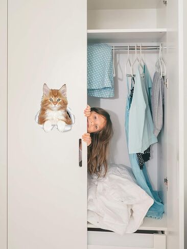 ملصقات حائط للقطط Winston & Bear Reaching Maine Coon - عبوتان - ملصق مرحاض للقطط باللون الرمادي والأبيض - ملصق ثلاثي الأبعاد لنافذة السيارة وممتص الصدمات - هدايا لمحبي القطط المعبأة للبيع بالتجزئة in Saudi Arabia