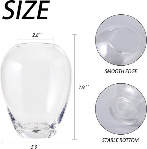YANWE1 مزهرية زجاجية شفافة، مزهرية زجاجية كبيرة، مزهرية زهور طويلة، مزهرية أرضية، مزهرية حديثة، مزهرية زخرفية لغرفة المعيشة، طاولة الطعام، عباءة، رف، زفاف، مكتب، رف كتب، مدخل، 11.8 بوصة in Kuwait