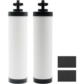 [Upgraded]Larayci Ceramic Filter Silver Infused Replacement for BB9-2® Black Carbon Filters, Compatible with Berkey® and ProOne® Gravity Water Filter System, Repeatable Cleaning Filters, Pack of 2