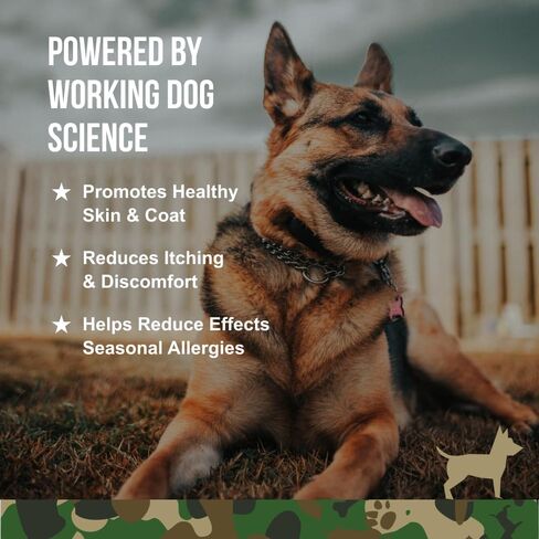 O. G.B. Operation Good Boy - SRE: مكمل للهضم/بروبيوتيك للحيوانات الأليفة - 90 قطعة مضغ طرية - 12.7 أونصة - مكونات طبيعية مصنوعة - تأسست على يد المحاربين القدامى in Saudi Arabia