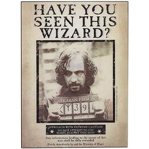 Open Road Brands Harry Potter Sirius Wanted Poster 3D Wood Wall Decor - Vintage Harry Potter Wall Art - Have You Seen This Wizard?