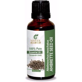 Ambrette Seed Oil 15 ML (0.51 Fl.OZ) | 100% Pure Natural Undiluted Uncut Therapeutic Grade Abelmoschus Moschatus Essential Oil