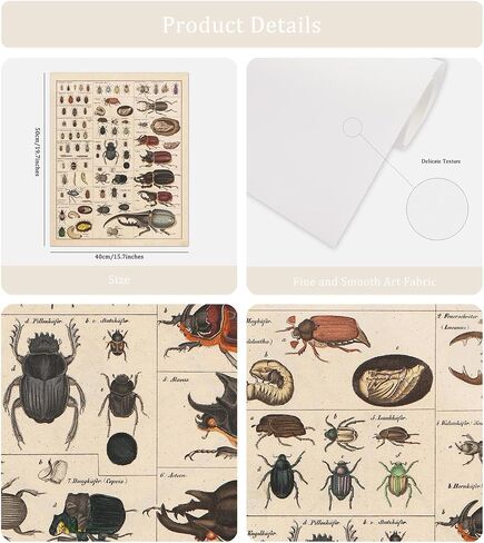 Meishe Art Vintage Poster Print Insects Collection Species Identification Reference Chart Entomology Diagram Classroom Club Wall Decor in Saudi Arabia