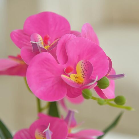 Artificial Real Touch Orchid Flowers in Pot Fake Phalaenopsis Flower with White Ceramic Vase Faux Orchids Arrangement for Home Table Office Wedding Party Decoration (Orange) in Saudi Arabia