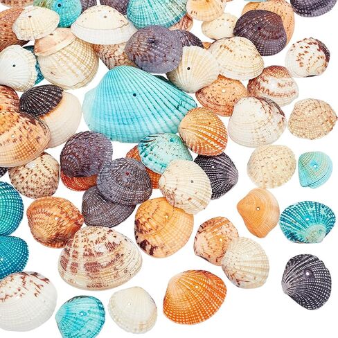 PH PandaHall 50~56pcs Dyed Natural Conch Shell Beads Drilled Tiny Scallop Sea Shells Ocean Beach Seashells Craft Charms for Candle Making Home Decoration Party Wedding Decor Mixed Colors in Saudi Arabia