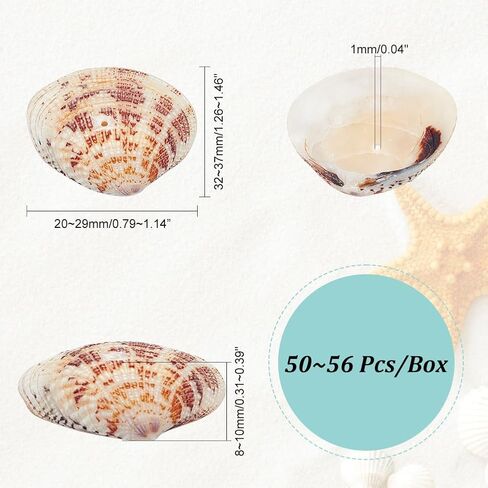 PH PandaHall 50~56pcs Dyed Natural Conch Shell Beads Drilled Tiny Scallop Sea Shells Ocean Beach Seashells Craft Charms for Candle Making Home Decoration Party Wedding Decor Mixed Colors in Saudi Arabia