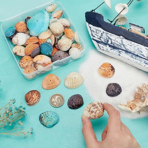 PH PandaHall 50~56pcs Dyed Natural Conch Shell Beads Drilled Tiny Scallop Sea Shells Ocean Beach Seashells Craft Charms for Candle Making Home Decoration Party Wedding Decor Mixed Colors in Saudi Arabia