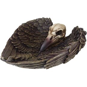 Ebros Harbinger Of Doom Edgar Poe القوطية المجنح الغراب الجمجمة مجوهرات عملة طبق صينية منفضة سجائر تمثال 6.75 "L Ossuary Macabre Halloween ديكور النحت