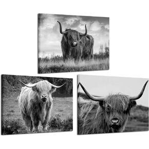 iKNOW FOTO Canvas Print Wall Art Black and White Freedom Highland Cow Pictures Painting for Living Room Bedroom Modern Home Decor Ready to Hang Stretched and Framed Artwork 12x16inchx3pcs