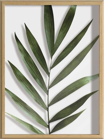 Kate and Laurel Blake Botanical 5F Framed Printed Glass Wall Art by Amy Peterson Art Studio, 18x24 Natural, Modern Wall Decor Inspired by Nature in Saudi Arabia