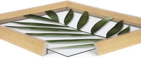 Kate and Laurel Blake Botanical 5F Framed Printed Glass Wall Art by Amy Peterson Art Studio, 18x24 Natural, Modern Wall Decor Inspired by Nature in Saudi Arabia