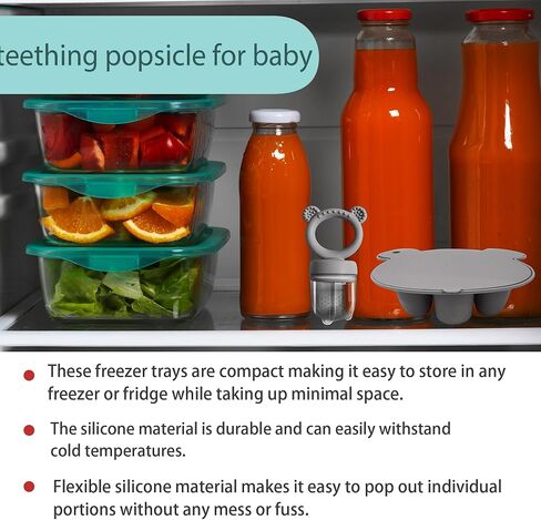 BIGSPINACH Baby Food Feeder Pacifier with Breast Milk Popsicle Teether-Silicone Forage Feeder for Babies-Breastmilk Storage Container and Freezer Tray-Teething Popsicle Molds for Soothing Relief in Saudi Arabia