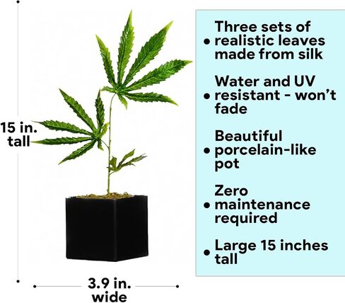 Replica Cannabis Plant, Fake Weed Plant for Desk, Funny 420 Accessories and Fake Cannabis Plant for Home Decor, Marijuana Plant, Black Pot: Height: 15 inches Pot Size: 3.7 x 3.9 Weight: 1lb in Saudi Arabia