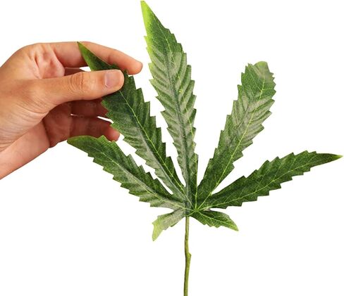 Replica Cannabis Plant, Fake Weed Plant for Desk, Funny 420 Accessories and Fake Cannabis Plant for Home Decor, Marijuana Plant, Black Pot: Height: 15 inches Pot Size: 3.7 x 3.9 Weight: 1lb in Saudi Arabia