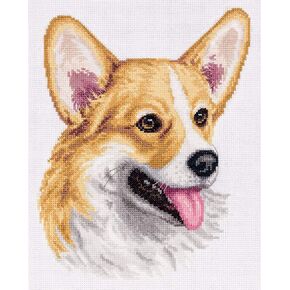 PANNA - Counted Cross Stitch Kit - Curious Raccoons - J-1778-16 Count - Aida - 10,63 x 5,91 inch - DIY kit