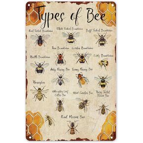 Vintage Bee Tin Sign Funny Types Of Bee Metal Tin Signs Wall Art Perfect For Home Garden Farm Cafe Wall Decoration 8x12 Inch Multicolor