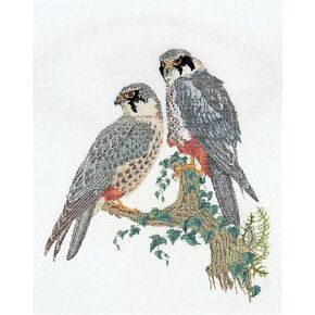 Thea Gouverneur - Counted Cross Stitch Kit - Falcons - Aida - 16 Count - for Adults - 2024A