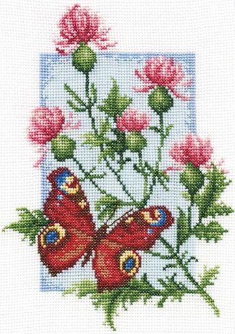 PANNA - Counted Cross Stitch Kit - Curious Raccoons - J-1778-16 Count - Aida - 10,63 x 5,91 inch - DIY kit in Kuwait