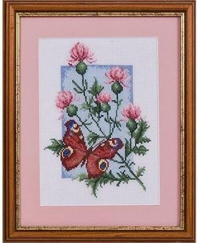 PANNA - Counted Cross Stitch Kit - Curious Raccoons - J-1778-16 Count - Aida - 10,63 x 5,91 inch - DIY kit in Kuwait