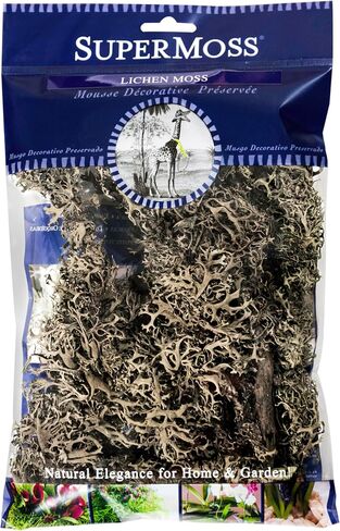 SuperMoss (23533) Lichen Parmelia (Branched), Yellow, 4oz in Saudi Arabia
