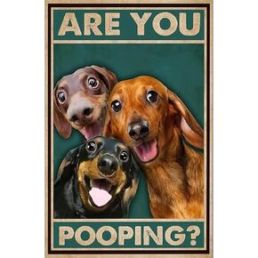 Dachshund Dog Vintage Metal Tin Sign Are You Pooping Sign Bathroom Funny Art Poster Decoration Toilet Cave Bar Home Bathroom Wall Decoration Sign 8x12 Inch