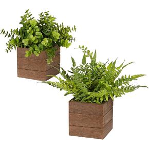 Small Fake Plants, 2Pack Mini Potted Artificial Plastic Boxwood Fern Green Decorative Plant in Wooden Potted, Fake Desk Plant for Farmhouse Home Decor Office Bathroom Desk Room Indoor Outdoor