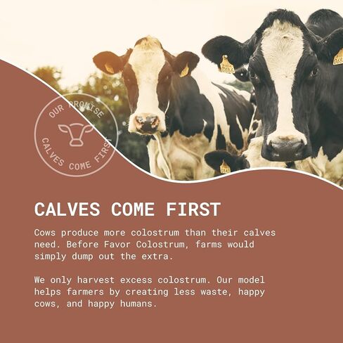 Bovine Colostrum Powder - Pure Cow Colostrum Supplement for Humans for Adults & Kids Gut Health, Immunity and Energy, Bovine Powder Naturally High in Immunoglobulin IgG - 30 Sticks, Unflavored in Saudi Arabia