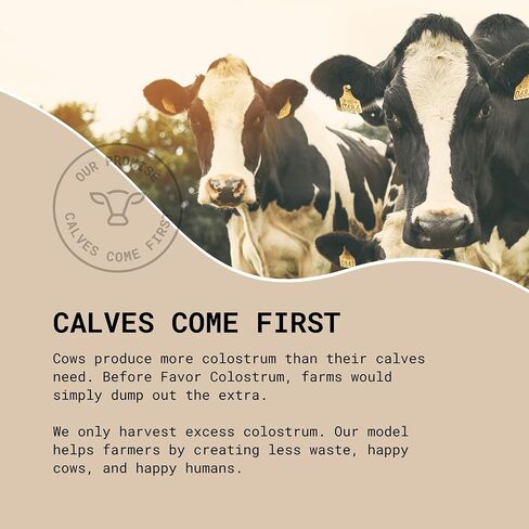 Bovine Colostrum Powder - Pure Cow Colostrum Supplement for Humans for Adults & Kids Gut Health, Immunity and Energy, Bovine Powder Naturally High in Immunoglobulin IgG - 30 Sticks, Unflavored in Saudi Arabia