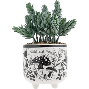 Karma, Boho Footed Pot, Artificial Succulents in Ceramic Pots, Desk Decor, Office Plants, Succulent Décor, Hummingbird in Saudi Arabia