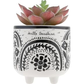 Karma, Boho Footed Pot, Artificial Succulents in Ceramic Pots, Desk Decor, Office Plants, Succulent Décor, Hummingbird