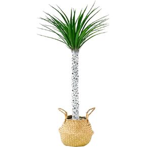 48in Artificial Agave Plant with Woven Seagrass Basket, Faux Aesthetic Plants for Home Decor,Realistic Plants for Front Porch, Patio, Indoor Home, Office(Set of 2)