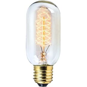 Rolay Vintage Edison Bulbs, 25W Clear Glass Antique Vintage Old Fashioned E26 Incandescent Light Bulbs, 1 Pack