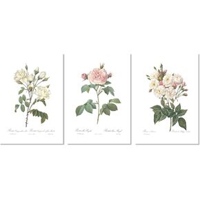 Ink Inc. Vintage Botanical Prints | Roses White Pink Wall Art | Floral Decor | Set of 3 8"x10" Unframed