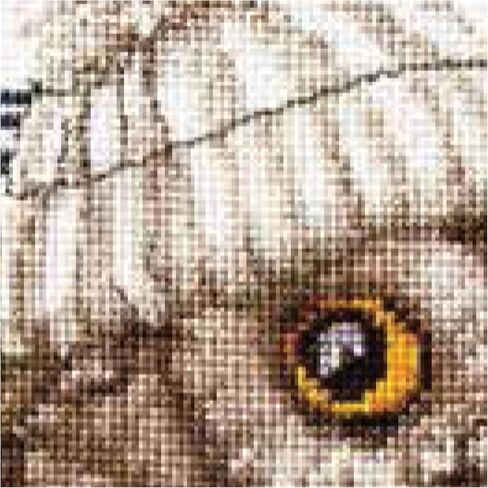Thea Gouverneur - Counted Cross Stitch Kit - Whoo..Whoo..It's Winter - Aida Black - 16 Count - for Adults - 743.05 in Kuwait