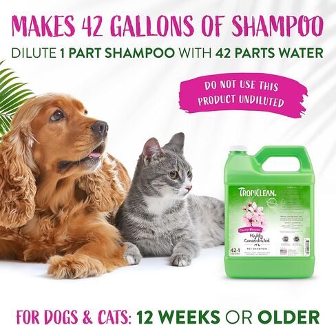 TropiClean Sweet Mandarin High Concentrate Shampoo for Pets 1 gallon HCSMSH1G in Kuwait