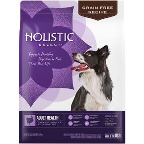 Holistic Select طعام جاف للكلاب خالي من الحبوب الطبيعية، وصفة العدس والديك الرومي منزوع العظم، كيس بوزن 24 رطلًا