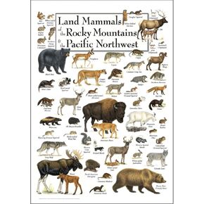 Earth Sky + Water Poster - Land Mammals of the Rocky Mountains & the Pacific Northwest
