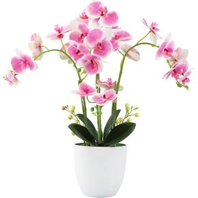 زهور الأوركيد الاصطناعية مع مزهرية نباتات الأوركيد المزيفة، زهور أوركيد صناعية وردية واقعية للمنزل والمكتب وطاولة الحمام وديكور حفلات الزفاف والكريسماس، وردي in Kuwait