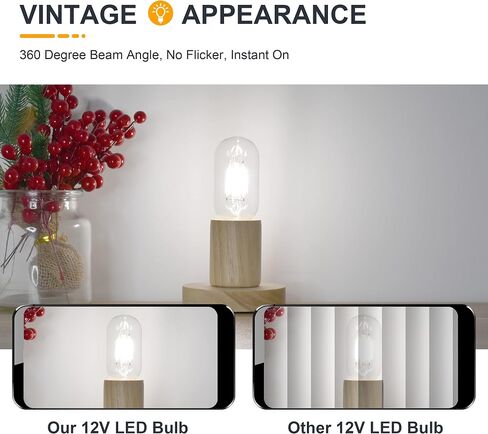 12V Low Voltage LED Light Bulbs - Soft Warm 2700K 4W E26 Edison Base 40W Equivalent - 12 Volt DC/AC A19 Bulb for RV Ceiling - 2 Pack in Saudi Arabia
